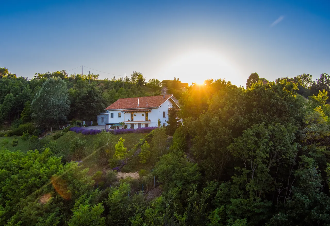 The house · Ferri e Zani